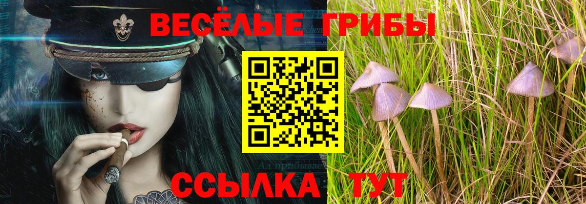 Сызрань  Галлюциногенные грибы Cubensis  Вход с VPN 